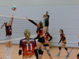 8. Spieltag U18 Damen VB